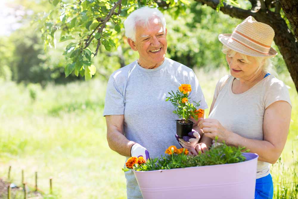 Senioren pflegen den eigenen Garten